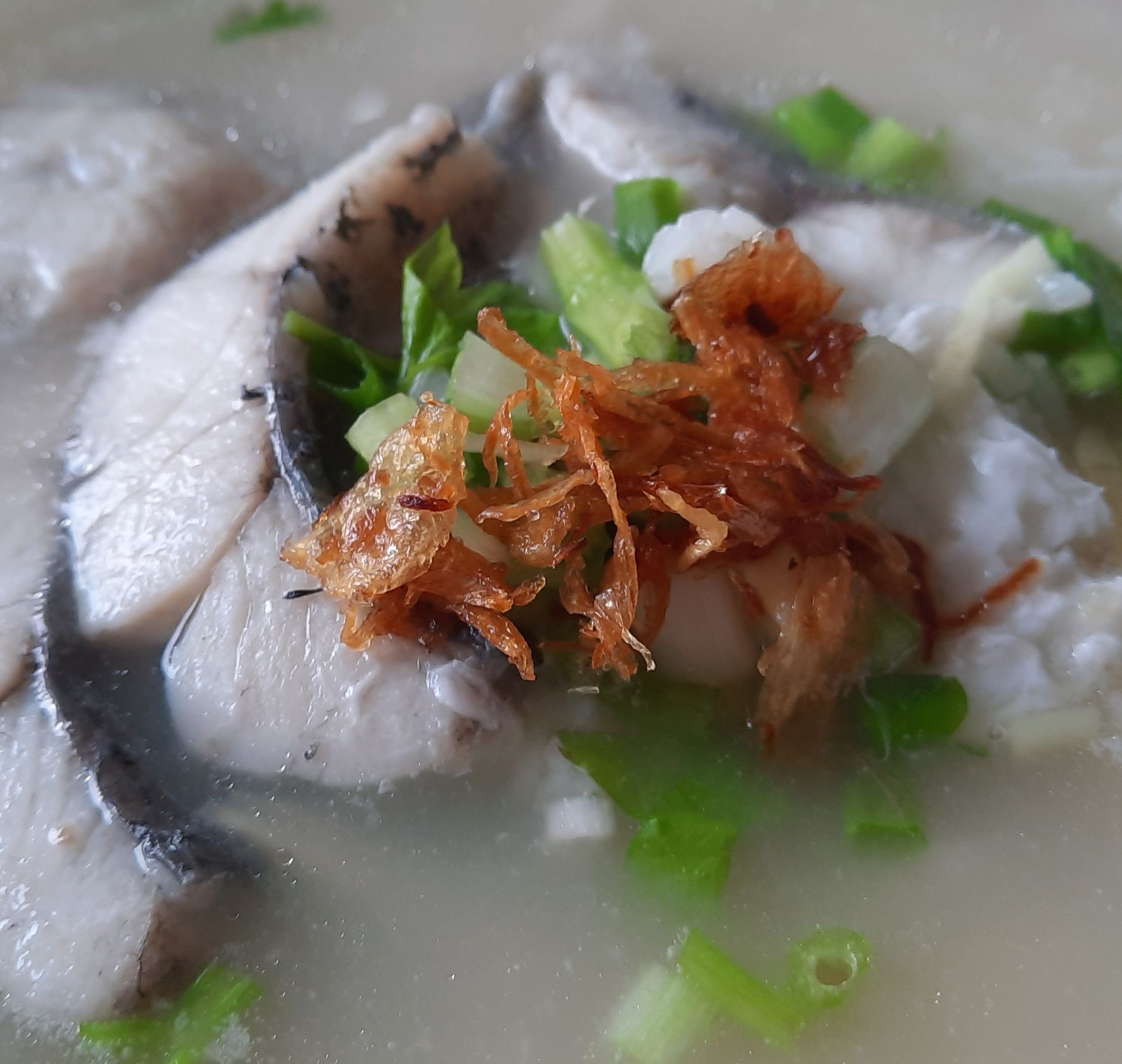 ข้าวต้มปลากระพง